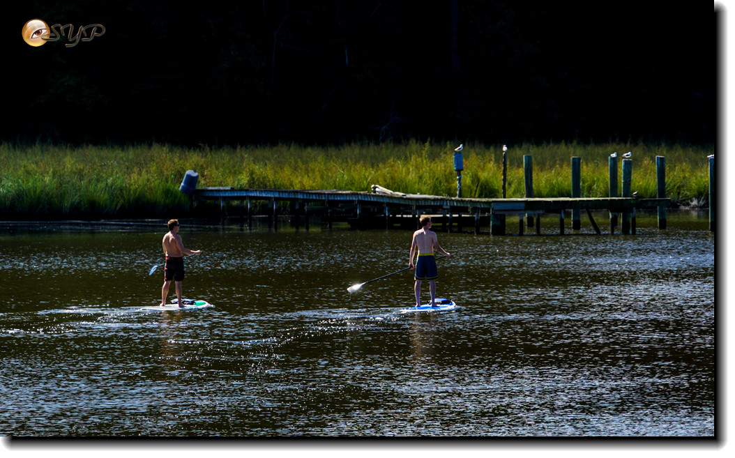 DSC03260_.jpg