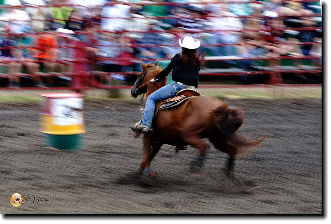 DSC04374_.jpg