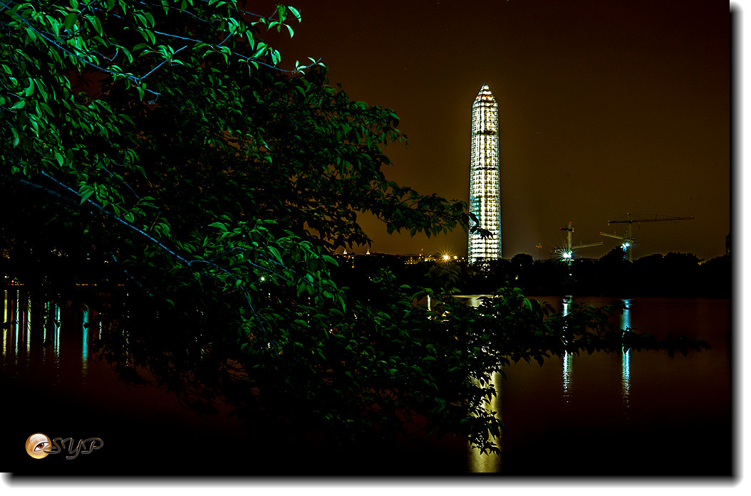 DSC03063_.jpg