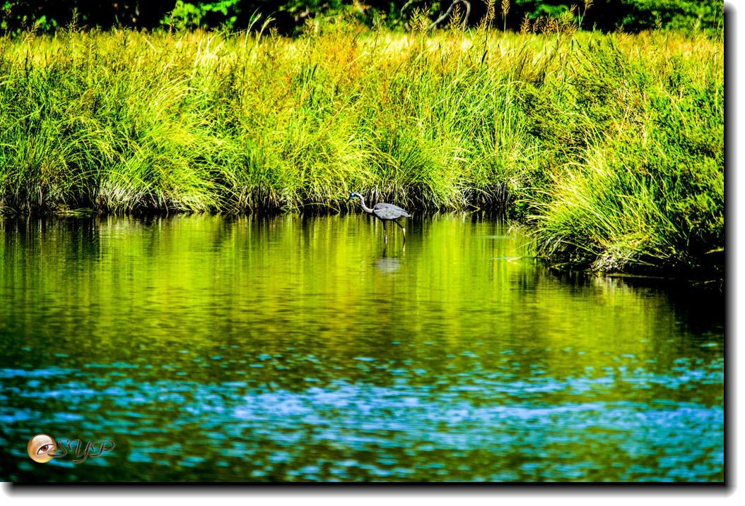 DSC03204_.jpg