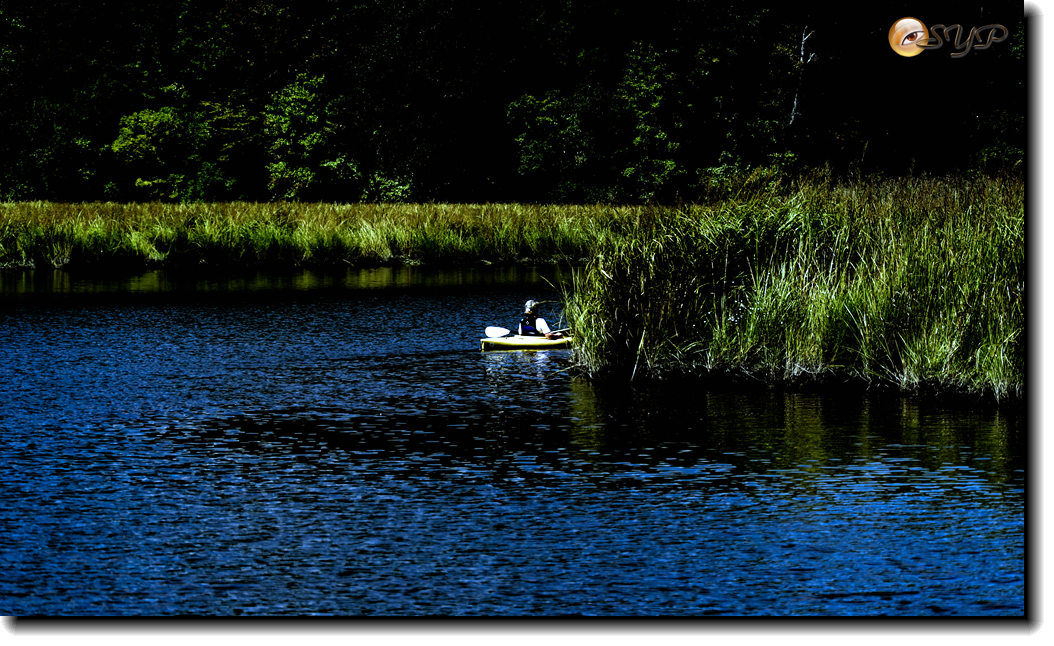 DSC03276_.jpg