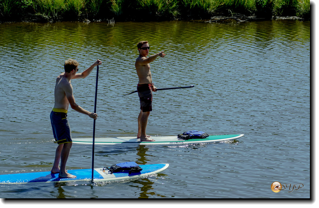 DSC03250_.jpg