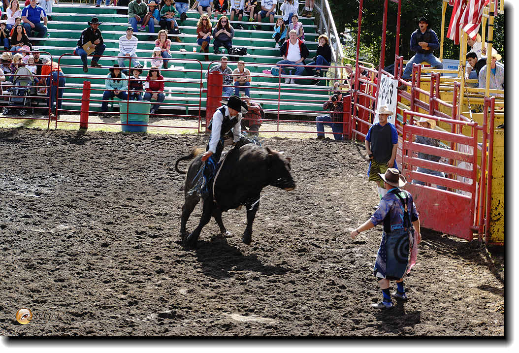 DSC04193_.jpg
