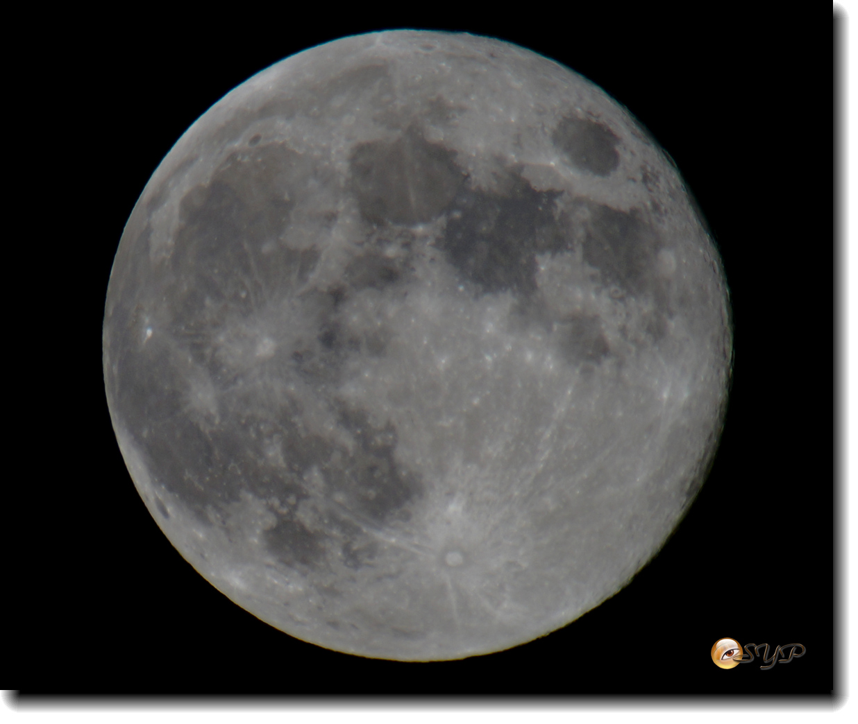DSC03672_.jpg