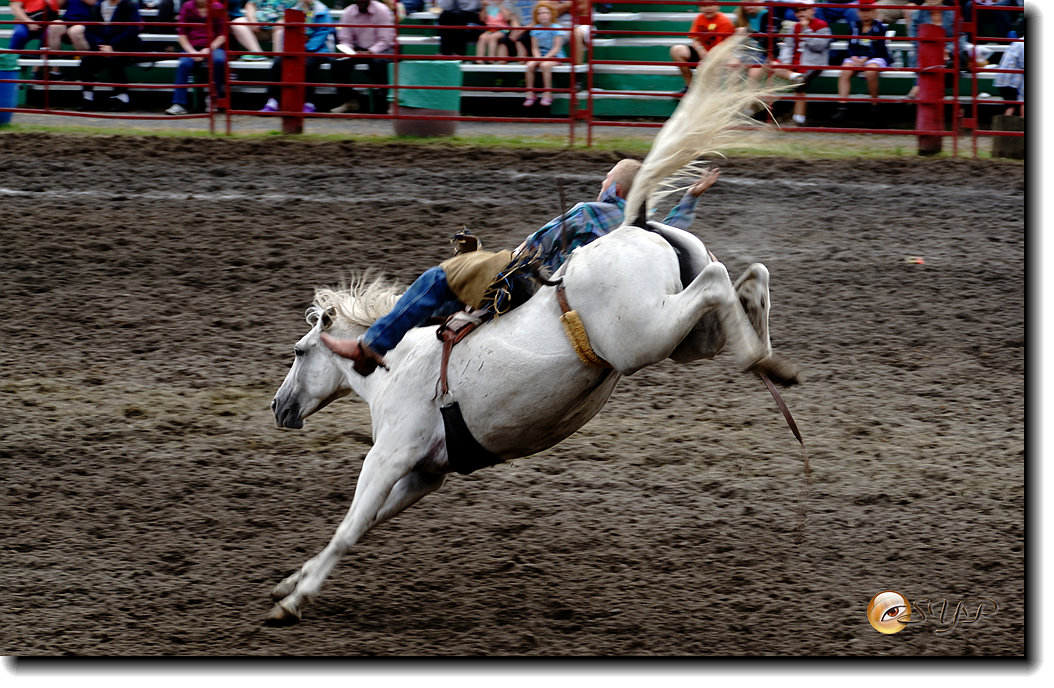 DSC03949_.jpg