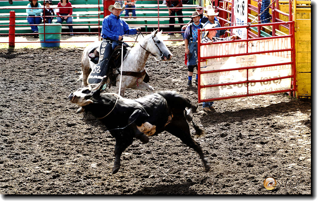 DSC04167_.jpg