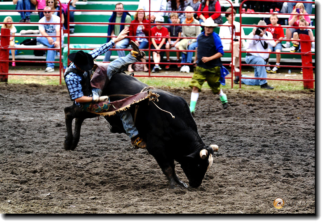 DSC04140_.jpg