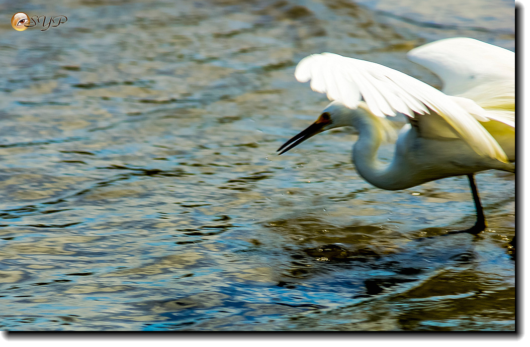 DSC03332_.jpg