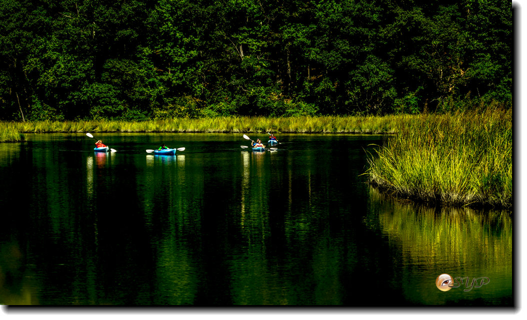 DSC03207_.jpg
