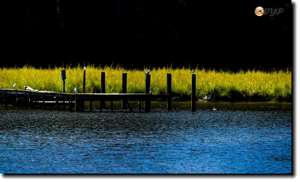 DSC03225_.jpg