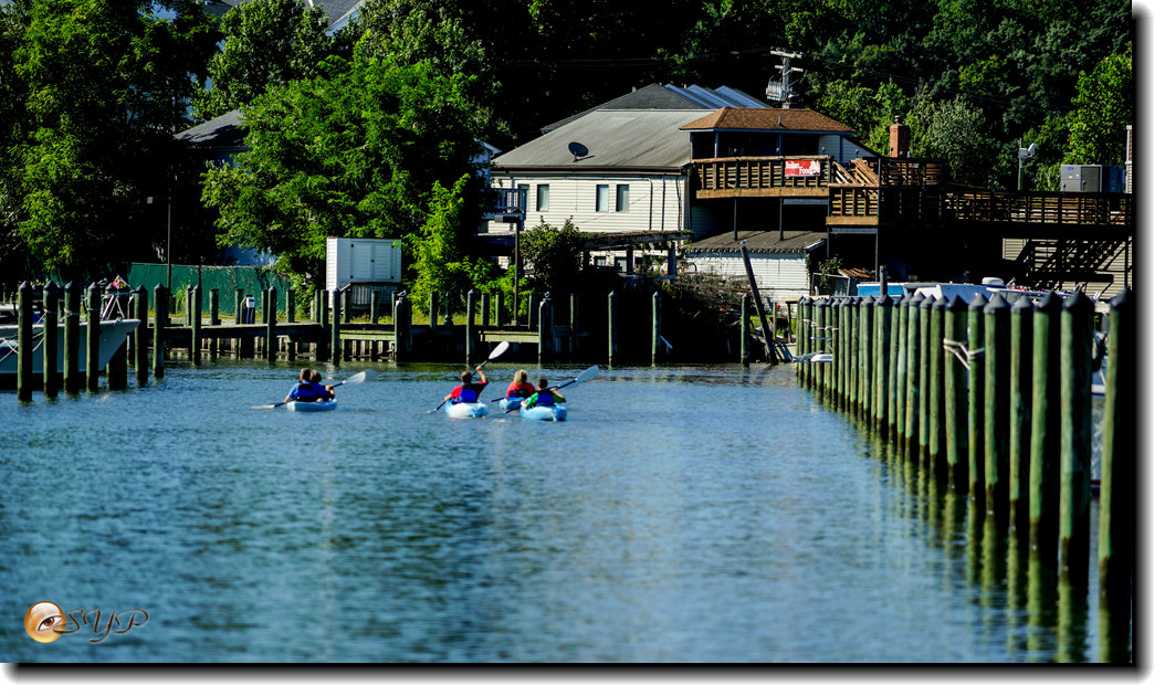 DSC03187_.jpg
