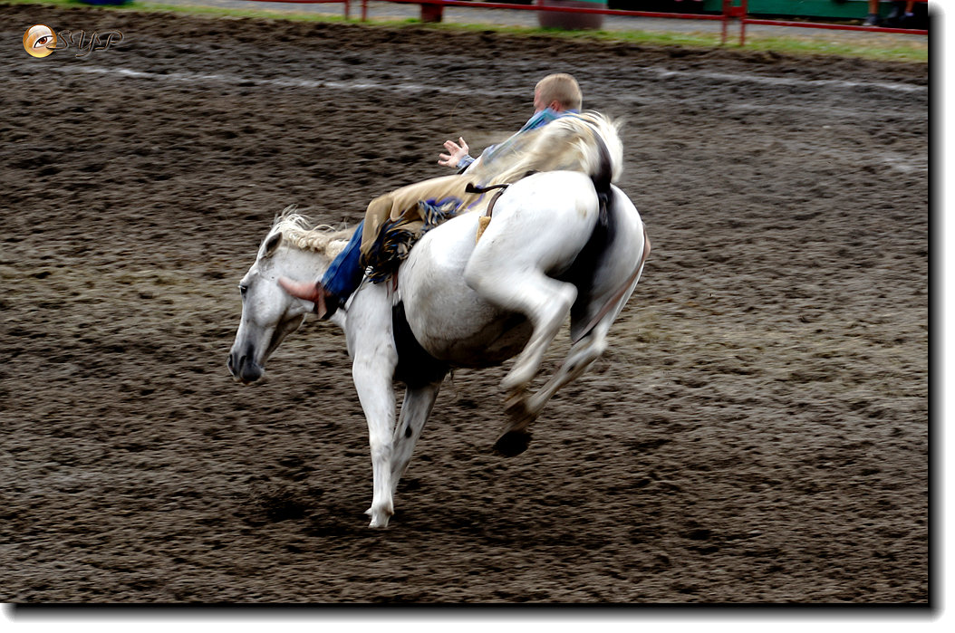 DSC03950_.jpg