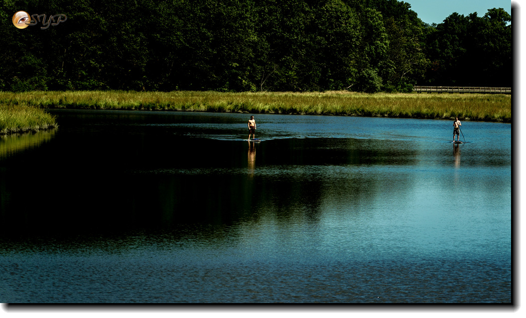 DSC03246_.jpg