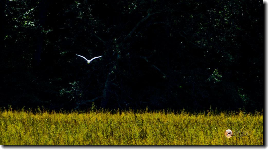 DSC03222_.jpg