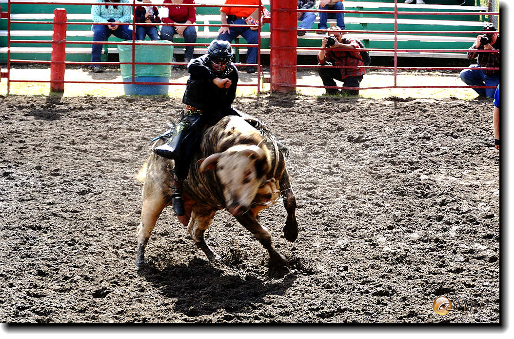 DSC04179_.jpg