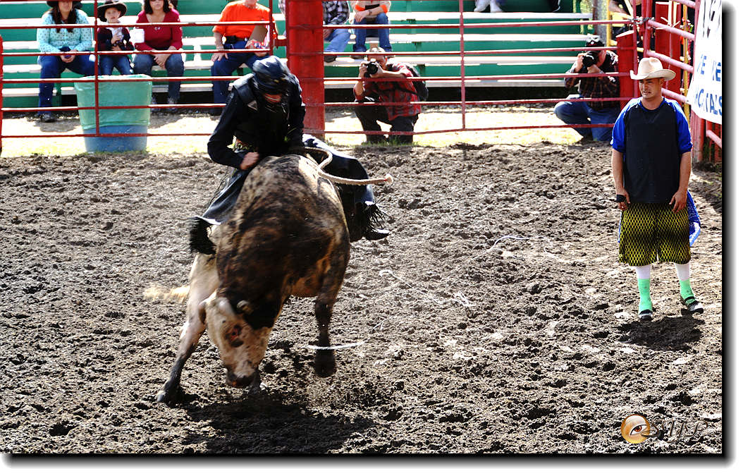 DSC04178_.jpg