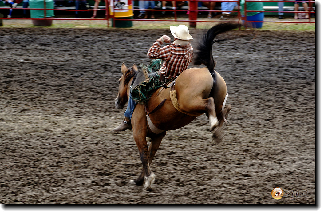 DSC03974_.jpg