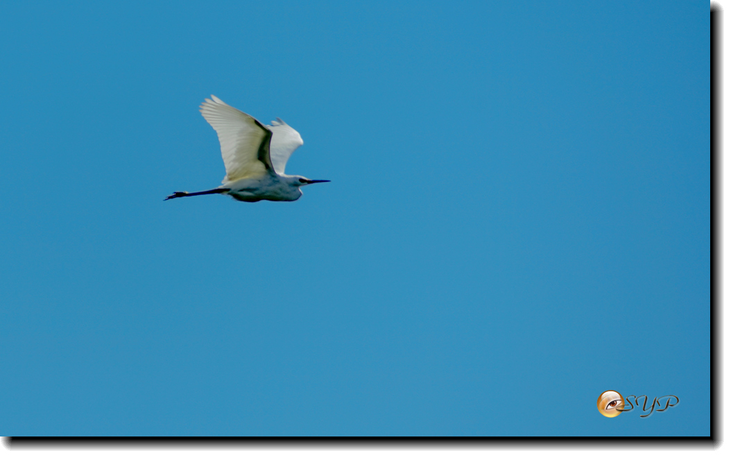 DSC03266_.jpg