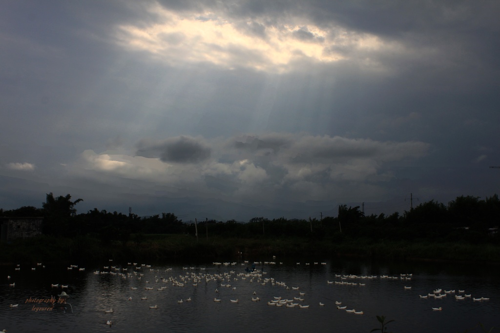 Ƭ 054.jpg