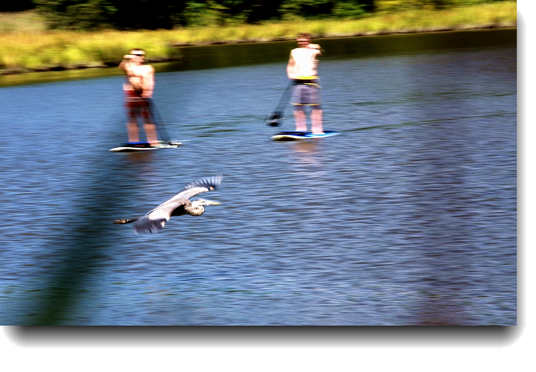 IMG_3079a.jpg