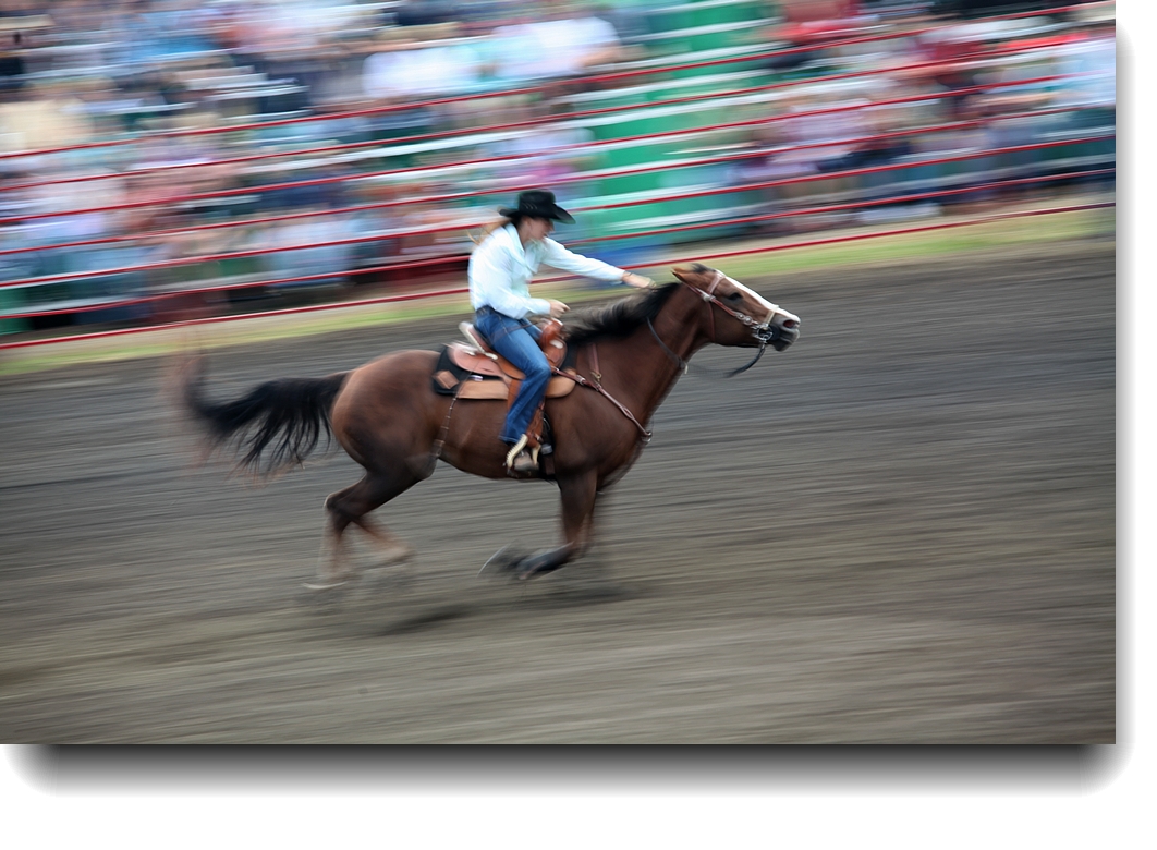 IMG_5435a.jpg