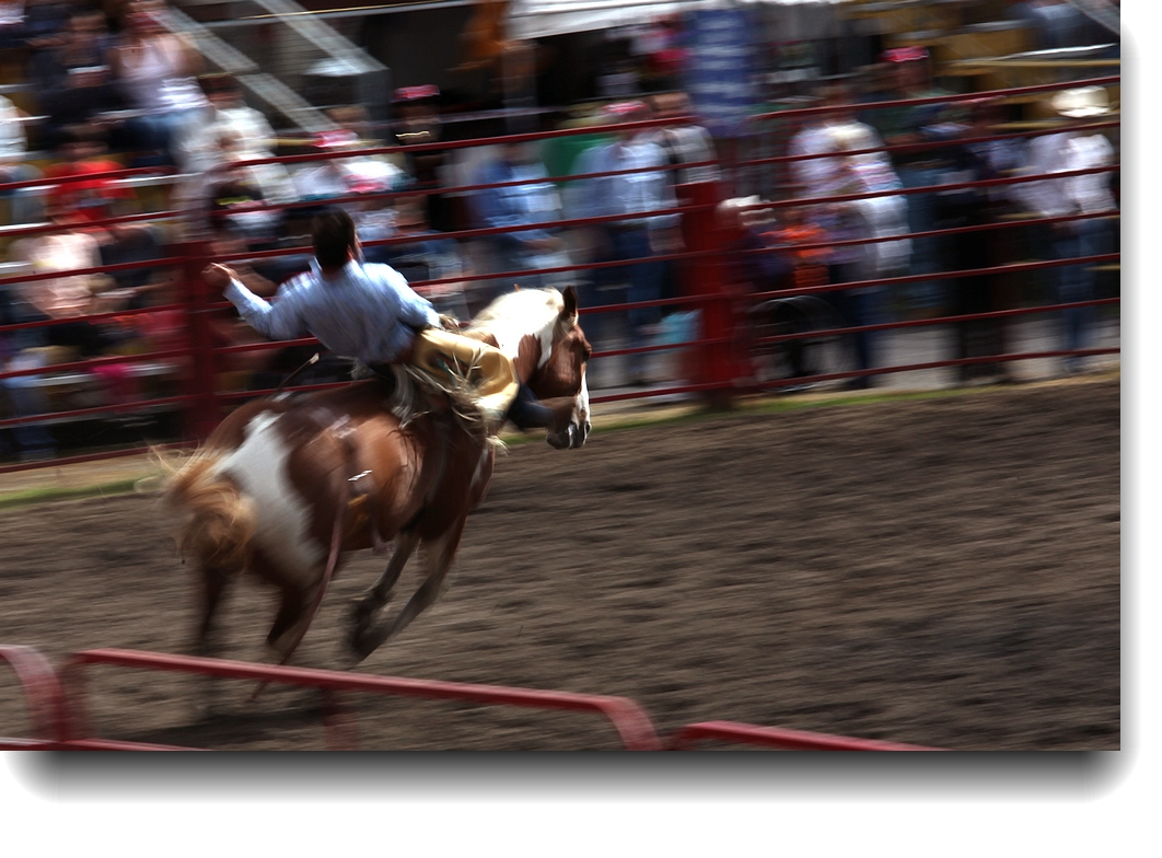IMG_5024a.jpg