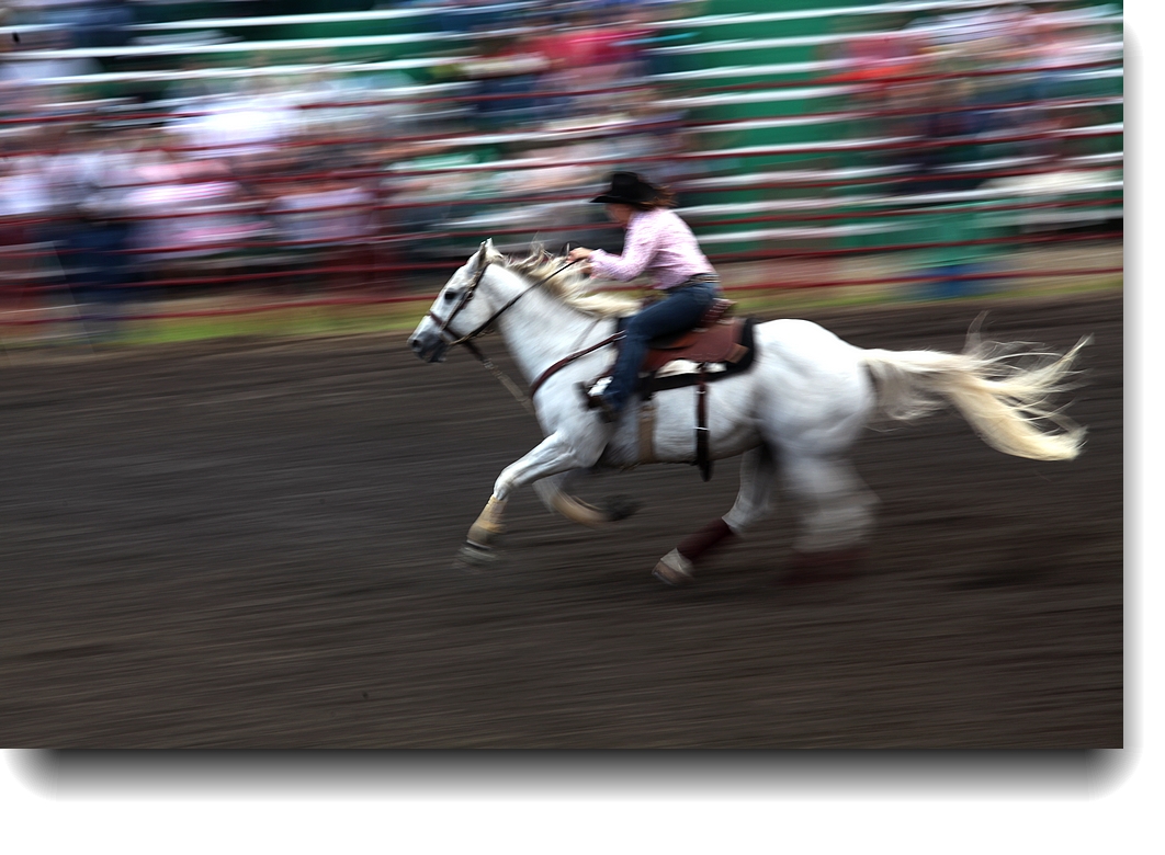 IMG_5479a.jpg