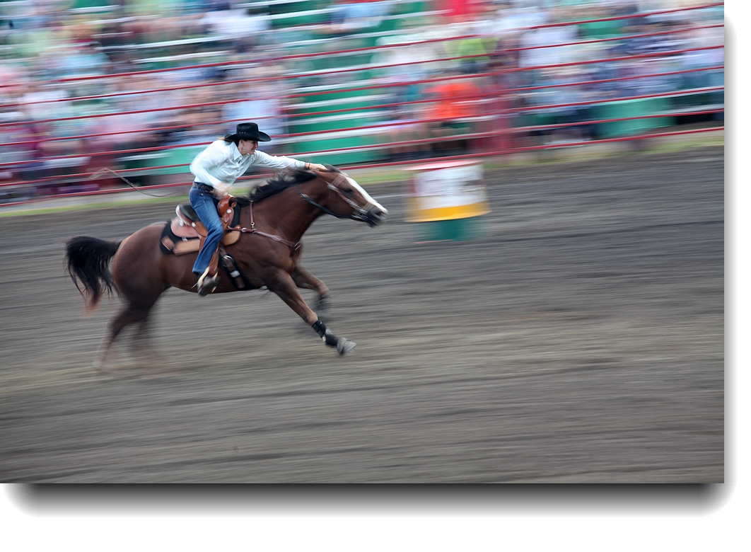 IMG_5433a.jpg