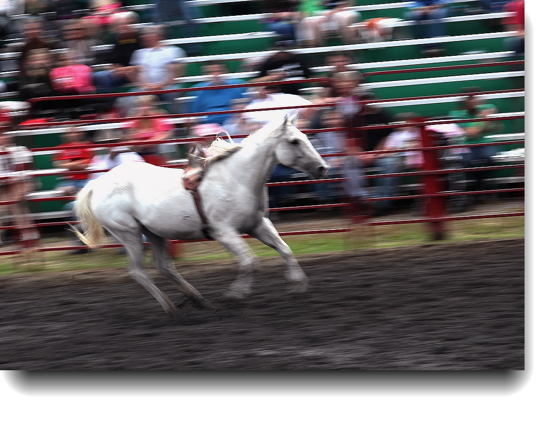 IMG_4972a.jpg