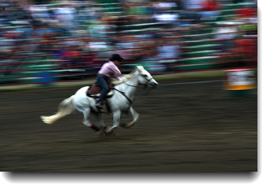 IMG_5510b.jpg