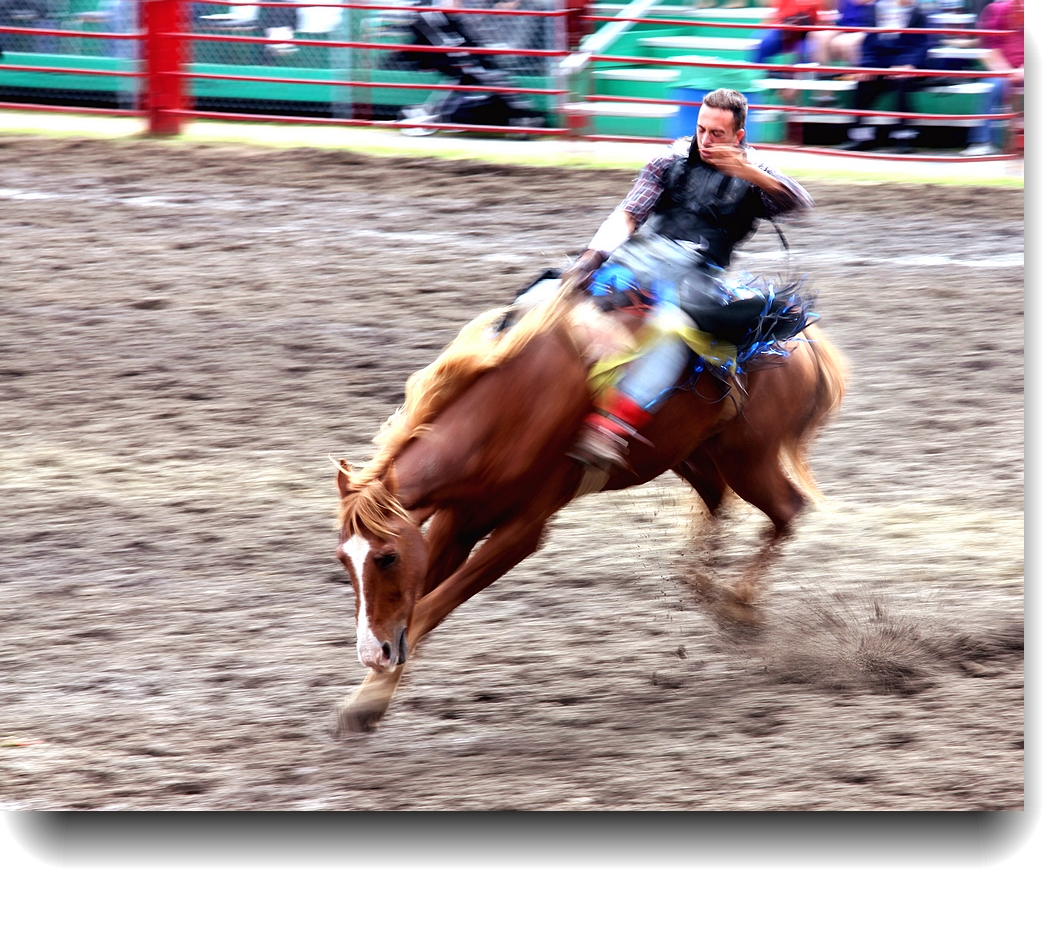 IMG_5048a.jpg