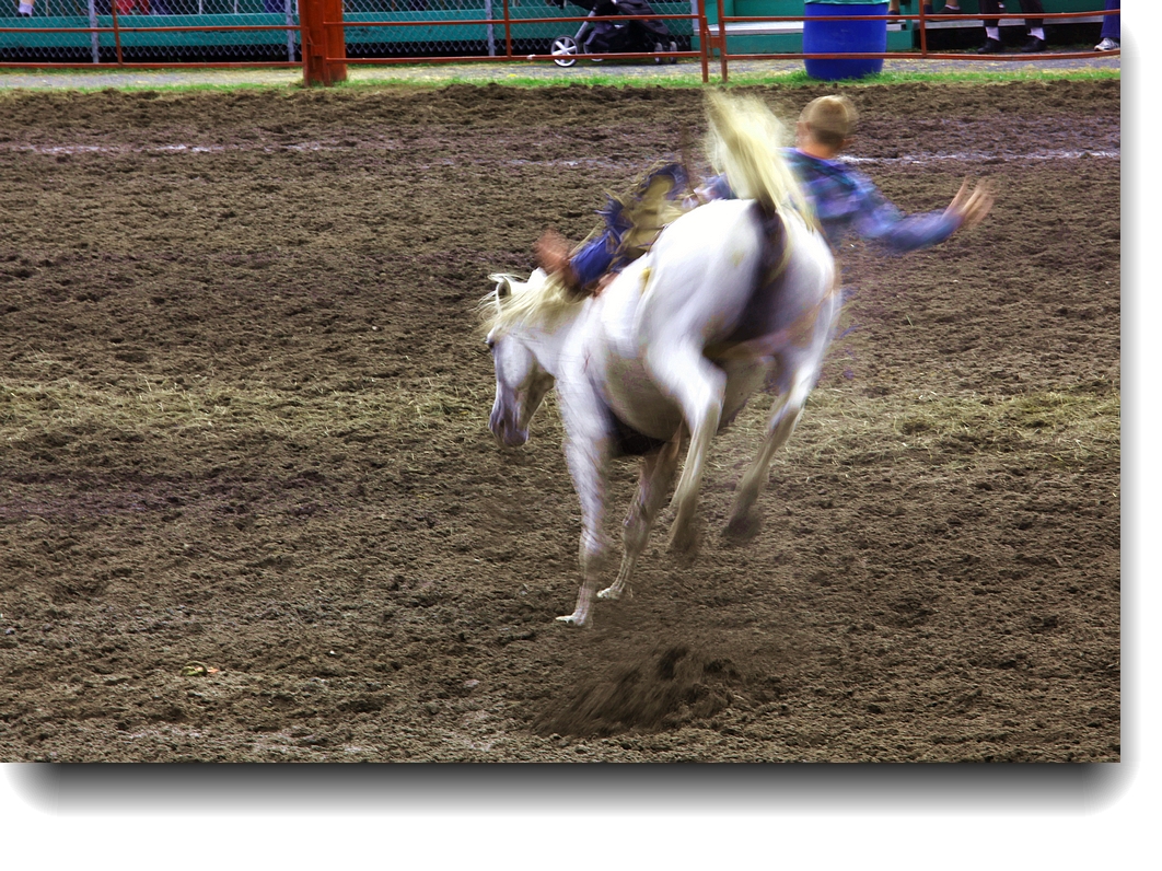 IMG_4958a.jpg