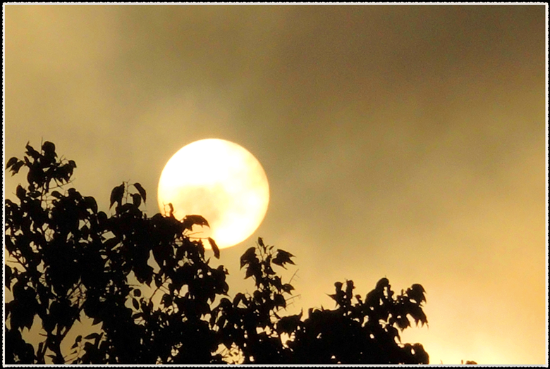 DSCN8230.jpg