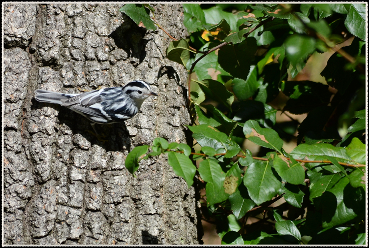 DSC_9670.jpg
