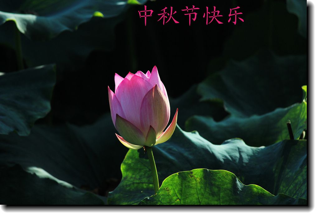 IMG_9413__.jpg