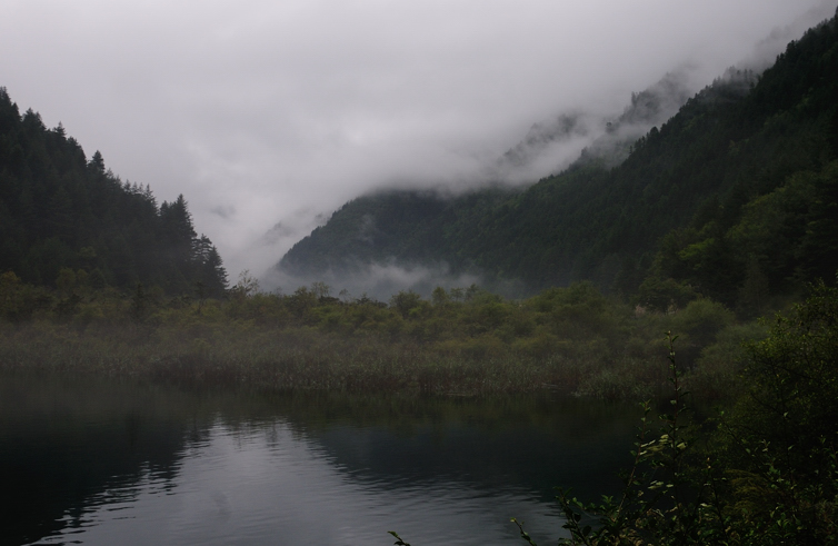 DSC_1242.jpg