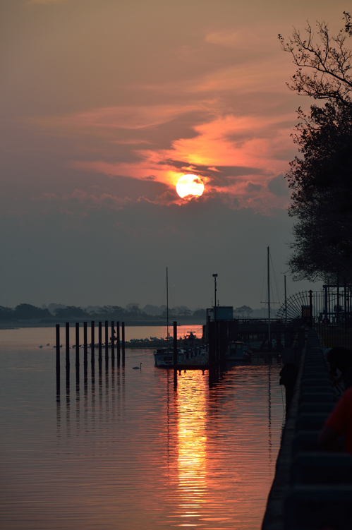 DSC_6323.jpg