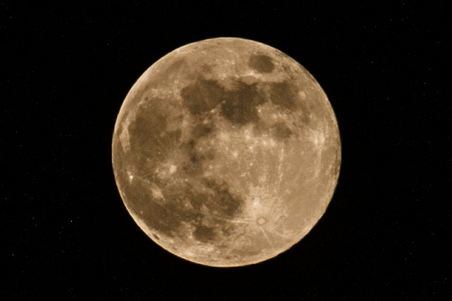 DSC_9368.jpg