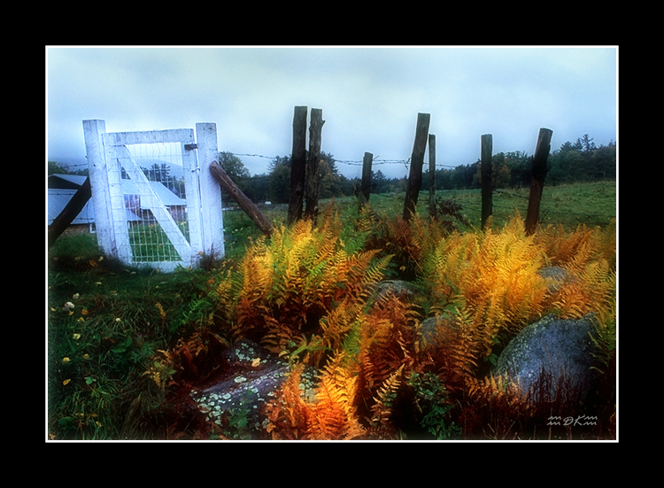 The White Gate.jpg
