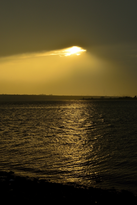 _DSC7926_01.JPG