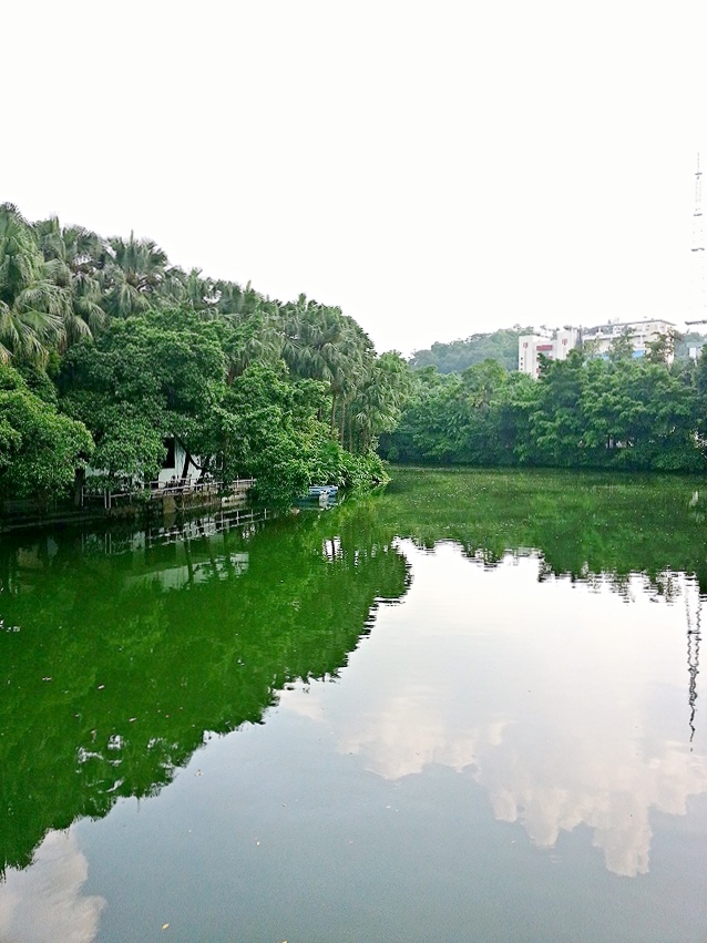 IMG_20130908_035233.jpg