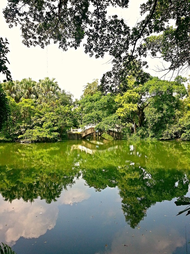 IMG_20130908_042537.jpg