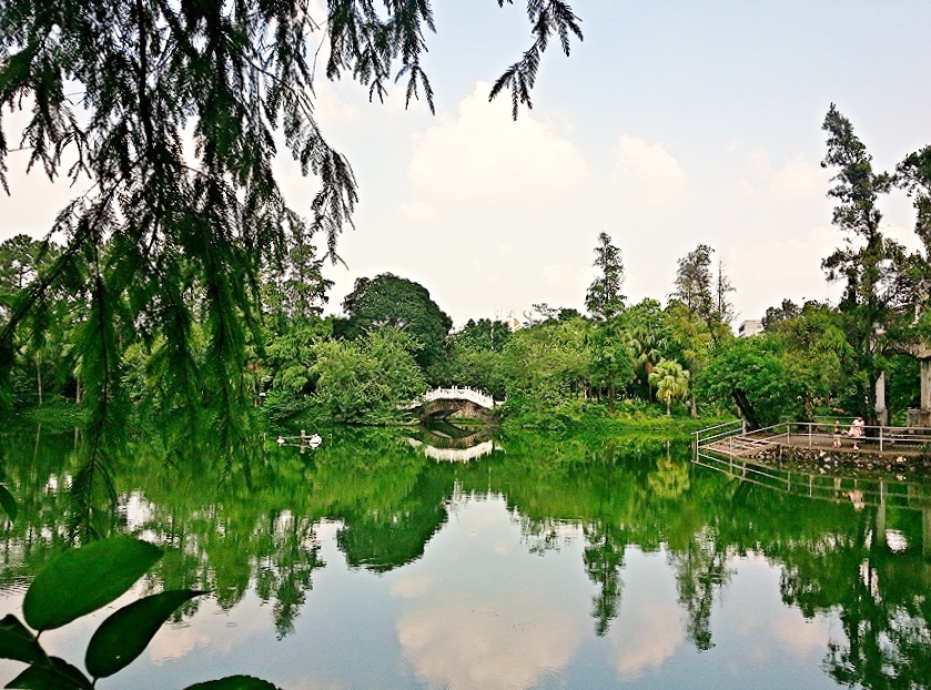 IMG_20130908_040139.jpg