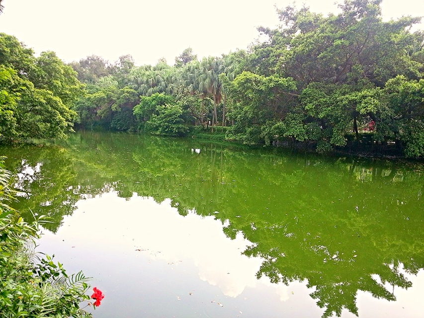 IMG_20130908_035836.jpg