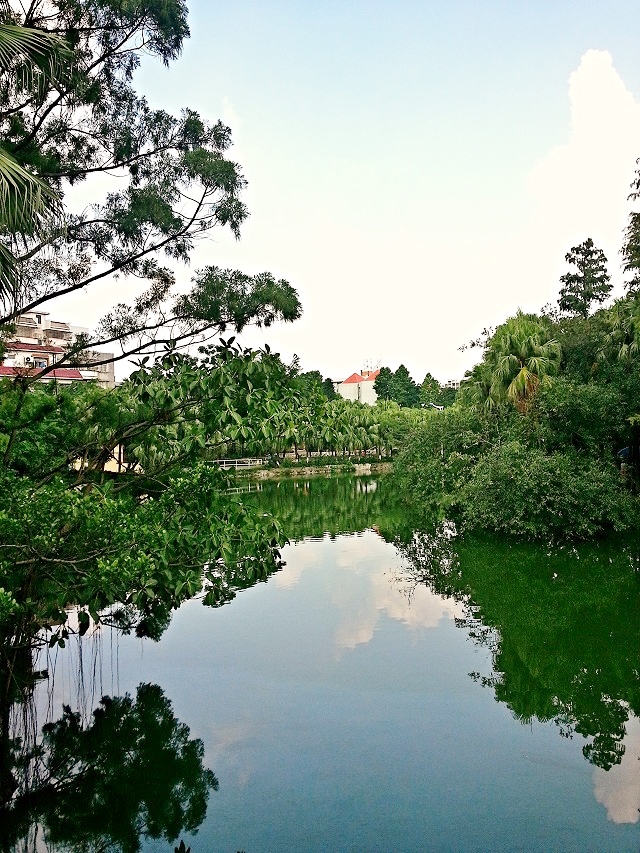 IMG_20130908_034519.jpg