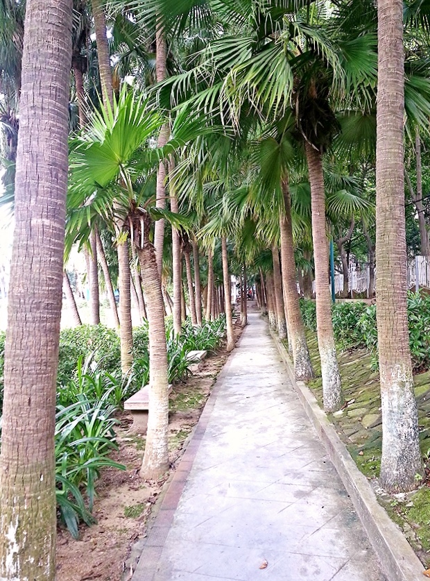 IMG_20130908_041403.jpg