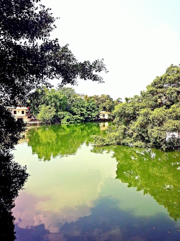 IMG_20130908_044156.jpg