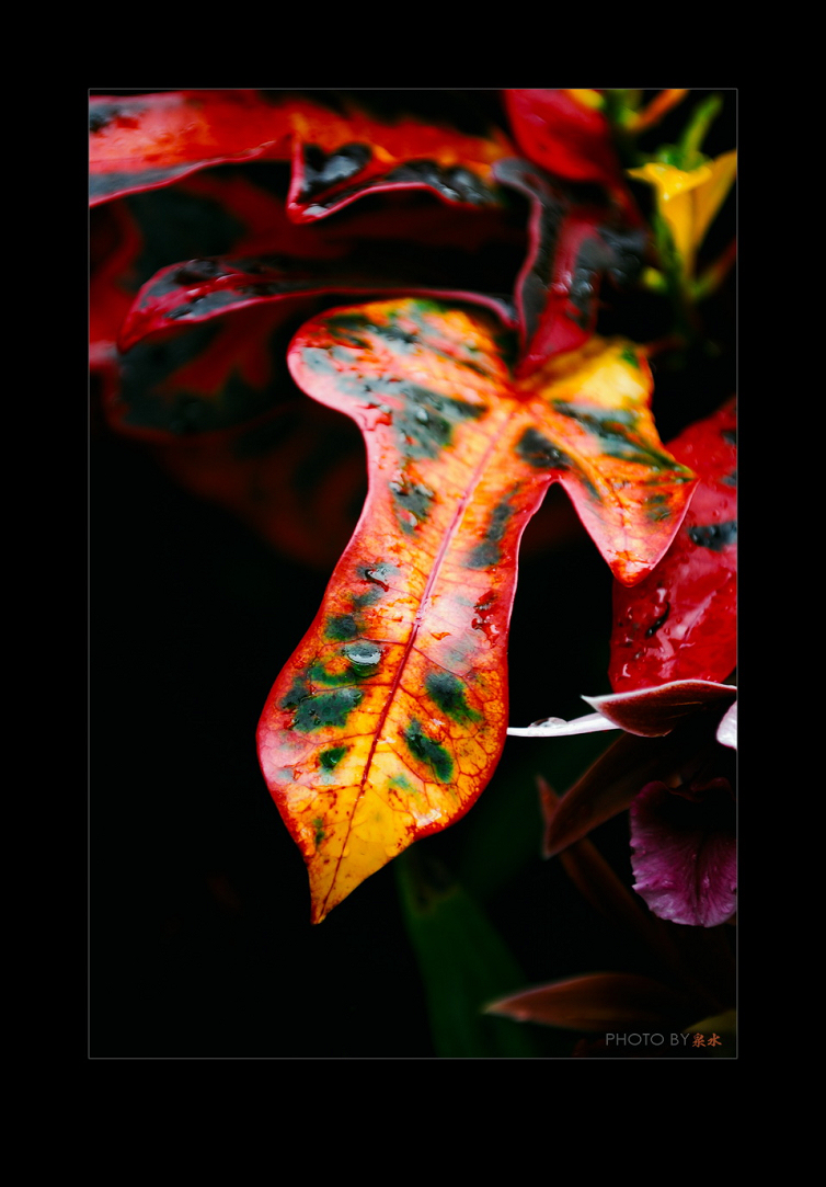 test.15A.jpg