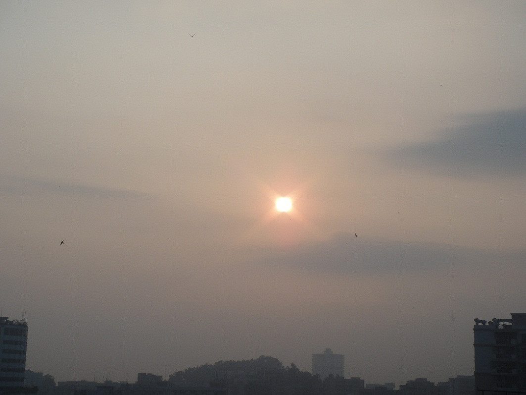 DSC09259_.jpg