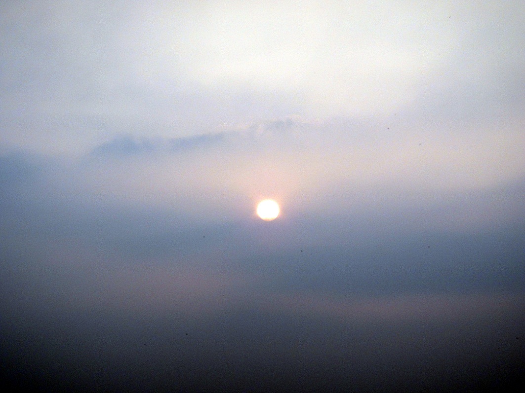 DSC09264_.jpg